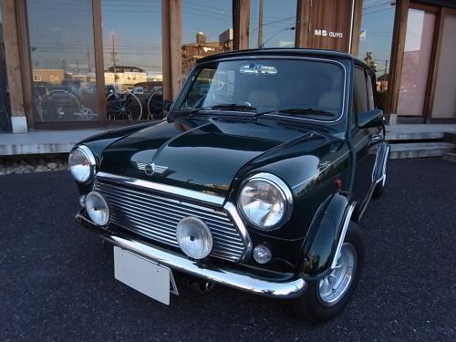 ローバーミニ メイフェア OP多数
